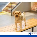 다함동물병원 이미지