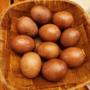 본여성전용사우나 이미지