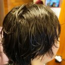 살랑살롱 이미지