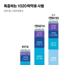 한국에서 펜타닐 마약이 유행하지 않는 이유 이미지