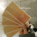 스파이용원 네이버블로그