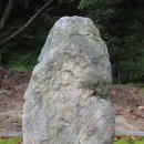 상주 운평리 구상화강암 | 상주 운평리 구상화강암(천연기념물 제 69호)