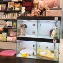 차차그루밍 이미지