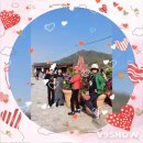 망월초동문회 야유회.2025년4월26일 이미지