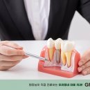 녹색치과의원 이미지