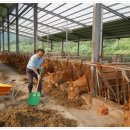 모곡마을회관 이미지