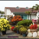 정원이 아름다운 집 이미지