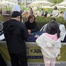 🌸 “축제에 가치까지 더했다”…광명 자라라마켓 현장