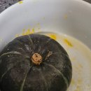 건강빵만들기 | 다이어트 건강 노밀가루 단호박빵 만들기 레시피 (feat. 전자레인지) 후기