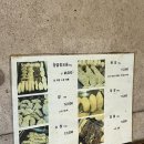 정가네 | 연산동 토곡 로컬맛집 정가네양곱창 솔직후기