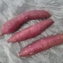 해남농산수산물 | 네이버장보기 반여농수산물시장 베니하루카 맛있는 꿀고구마