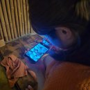 블리츠호텔 | [일상] 11월 (2) : 몸도 마음도 늙어버린 29.9살 여자의 일기