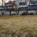 행정사법인 느티나무 | 강원감영-2023년 12월 구형사 가다 본 감영이 궁금해서 가 보았는데 관찰사가 근무하던 곳이 웅장하고...