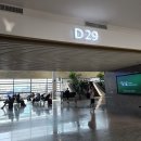 프리우스아파트 | 20250619 기상 + 오스트리아 빈 공항에서 중화항공으로 대만 타오위안 국제공항(桃園國際機場)으로