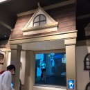 롯데몰 수지점 | 수지 키즈카페 타이니키즈파크 롯데몰 수지점 후기 (돌전 아기도 놀기좋아요)