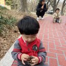 춘추 유아숲체험원 이미지
