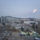 송약국 | [노원을지대] 난소낭종적출술 경험기 3: 난송낭종 수술 후 회복기 /입원 3일차-퇴원수속