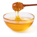 필라펠리스 이미지