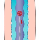연세선하지외과의원 이미지