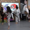 수 태권도 인성교육관 이미지