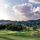 세이지우드홍천호텔 이미지