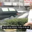 돈프라이드 이미지