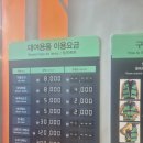웰리힐리파크 워터플래닛 꿀팁 및 하이시즌 일요일 방문 후기!