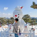 수랜드 | 홍천 스노위랜드 할인 눈썰매장 먹거리 등 평일 방문 후기