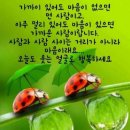 All for the Love of a Girl / The End Of The World 이미지