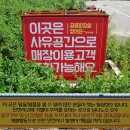 내저선착장 이미지