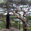 화북초교 용화분교 이미지