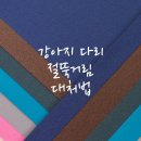 종로동물병원 | 종로구동물병원 강아지 다리 절뚝? 당황하지 말고 확인해보세요