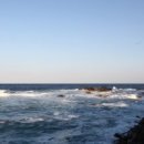 동해바다처럼 이미지