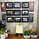 아그집뼈해장국 이미지