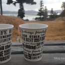 쥬크 소프트 이미지