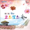 코스모스여화 이미지