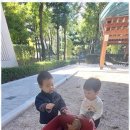 꽃과호수어린이집 이미지