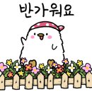 소양서랍
