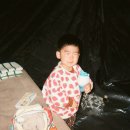 소풍캠핑장 | 용인소풍캠핑장 올해 첫 캠핑 코닥 펀세이버39 기록
