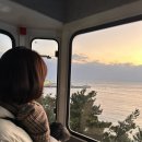 스카이 애견 이미지
