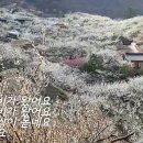 영애 이미지