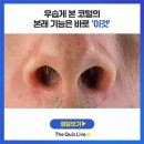 코털 &#39;뽑아야한다 vs 잘라야한다&#39; 두가지 방법 중 어떤게 맞나요? 이미지