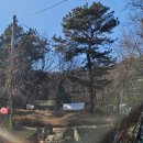 우림한방삼계탕 이미지