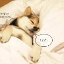 참미르빌딩 이미지