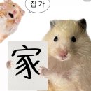 행복해네일
