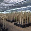 영신농원 이미지