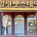 힐링펫샵 네이버블로그