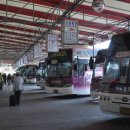 종합터미널_앞2 이미지