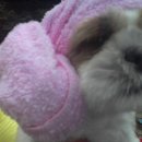 신남약국 이미지