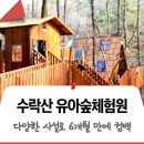 태릉유아숲체험원 네이버블로그